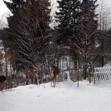 Na Slowackiego9m7 Holiday home Szklarska Poreba